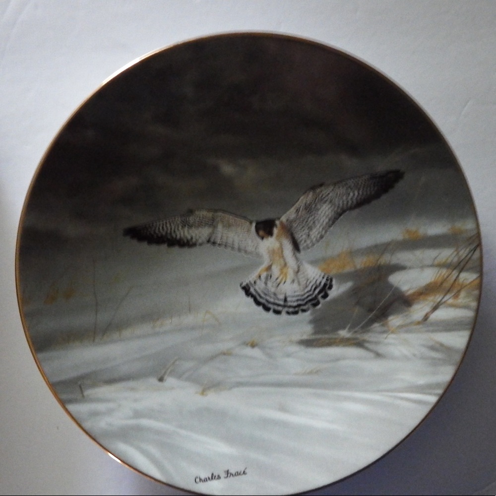 WS George Collectable plate from Soaring Majesty